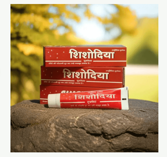 Shishodia Ayurvedic Toothpaste boxes and tube on stone with floral background