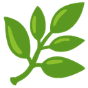 Unique 14 Herb Formula perfected over 10 years — THAT WORKS!